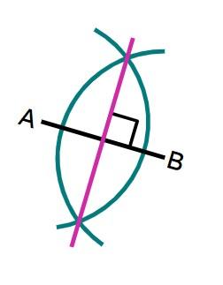 An image in a quiz