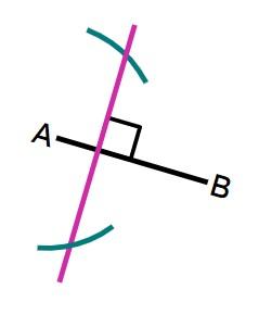 An image in a quiz