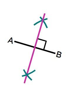 An image in a quiz