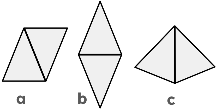 An image in a quiz