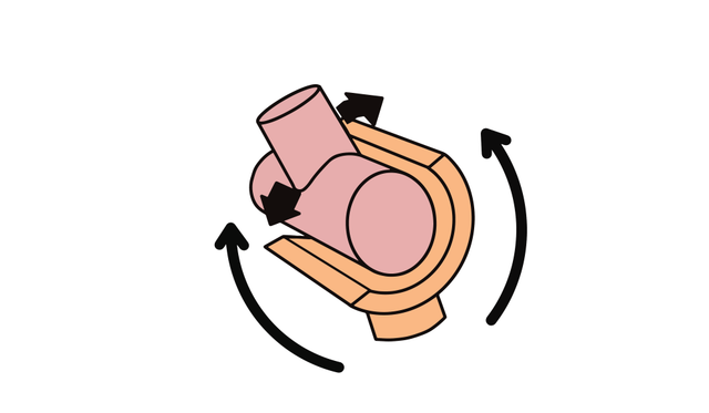 Where in the body would you find a hinge joint?