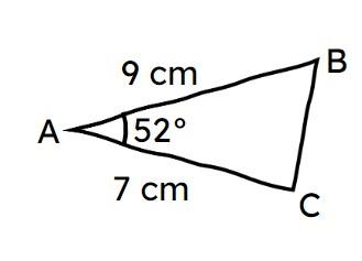 An image in a quiz