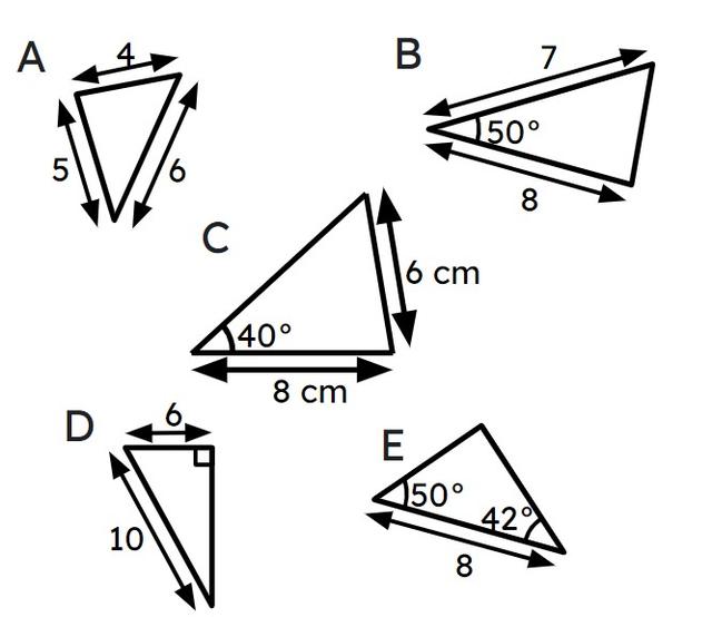 An image in a quiz
