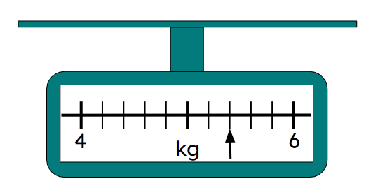 An image in a quiz