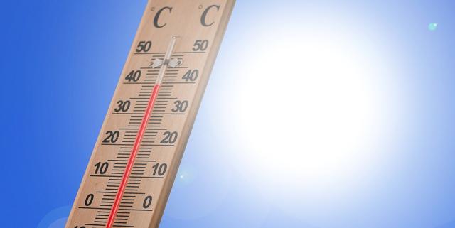 Heatwaves can be dangerous to which of these things?