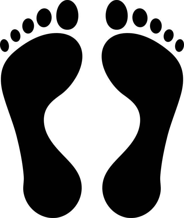 A <span class="blank">______</span> footprint is a measure of how much carbon dioxide and other greenhouse gases are released when we do everyday things.