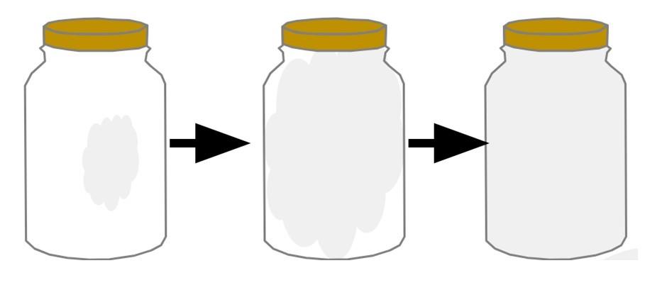 An image in a quiz