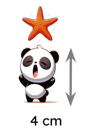 When the Panda catches the star, it becomes 7 times the size. Which equation will show his new height?