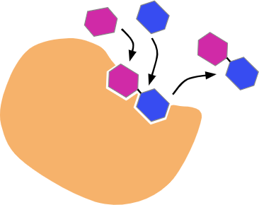 An image in a quiz
