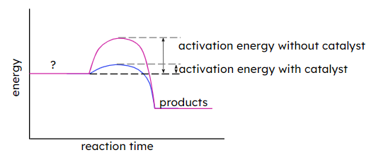 Which label is missing from this reaction profile?