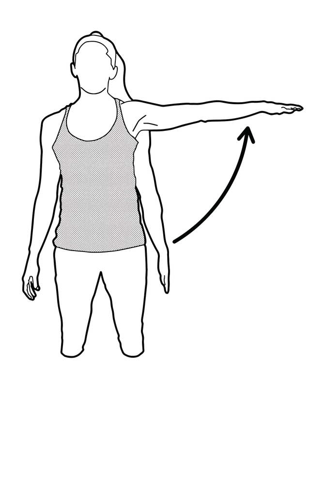 The type of movement being illustrated in the diagram is ...