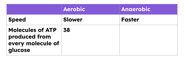 How many molecules of ATP are produced from a molecule of glucose in anaerobic respiration?