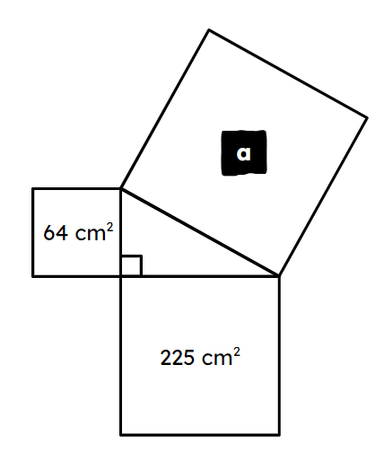 An image in a quiz