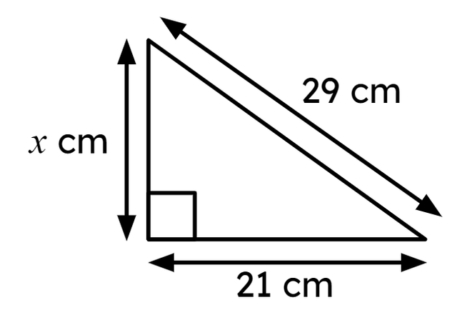 An image in a quiz