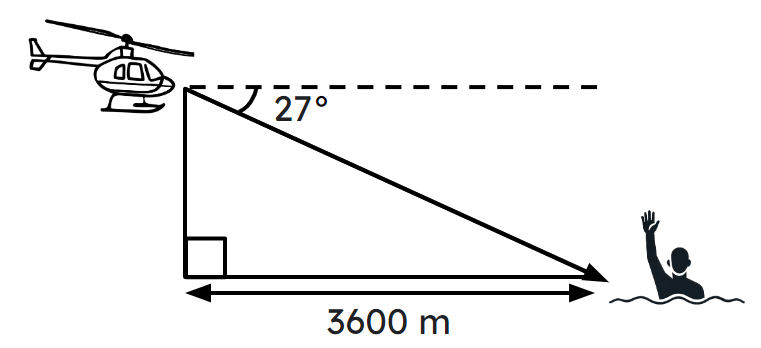 An image in a quiz