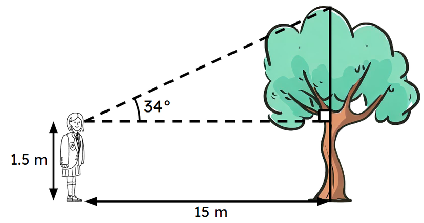 An image in a quiz