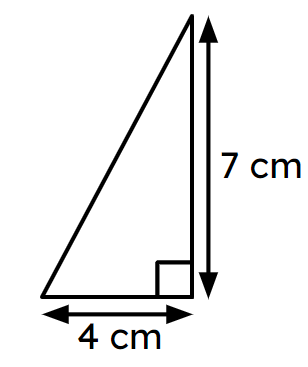 An image in a quiz