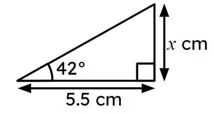 An image in a quiz