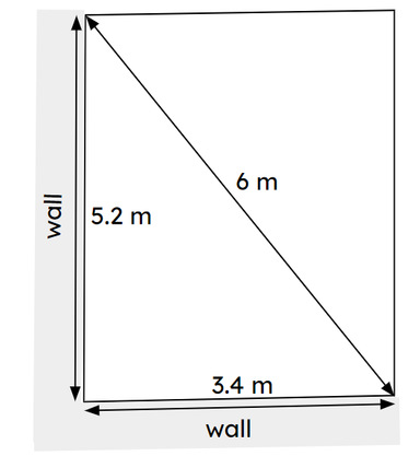 An image in a quiz