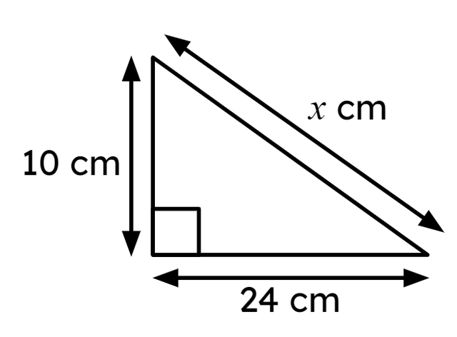 An image in a quiz