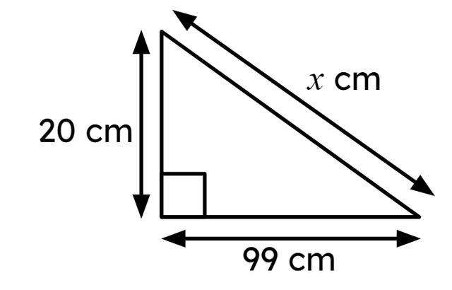 An image in a quiz