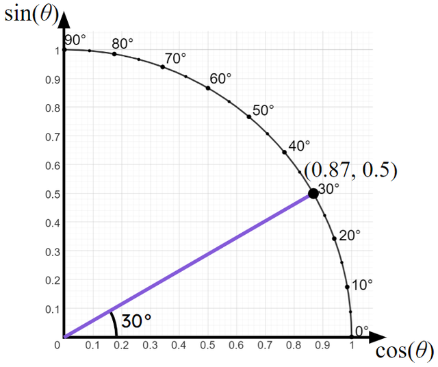 An image in a quiz