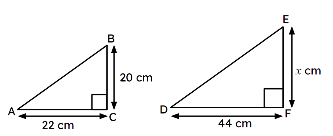 An image in a quiz