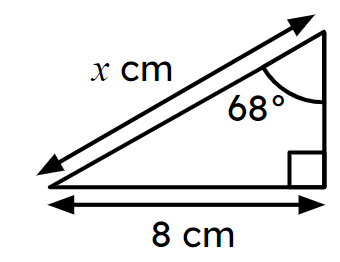 An image in a quiz