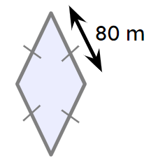 An image in a quiz