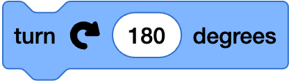 An image in a quiz