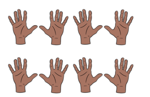 An image in a quiz