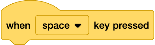 An image in a quiz