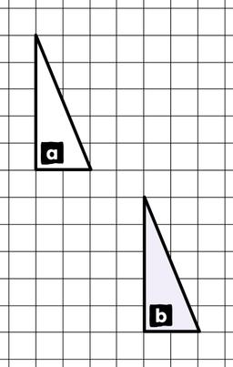 An image in a quiz