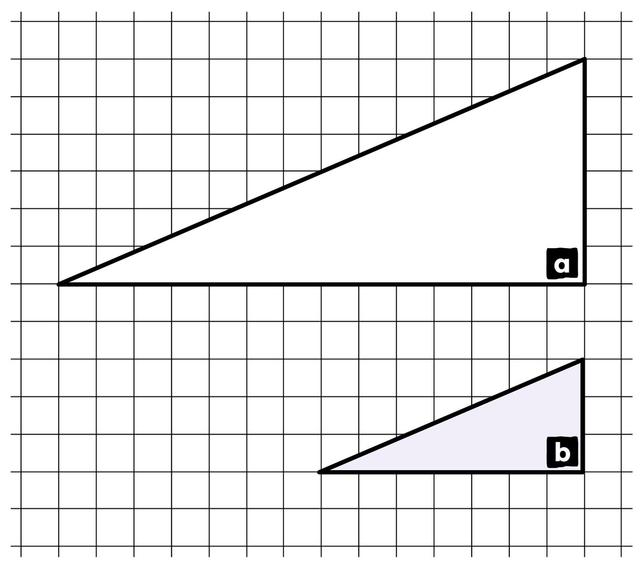 An image in a quiz