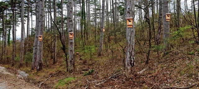 Match these living things to what could be used in a nature reserve to help protect them.