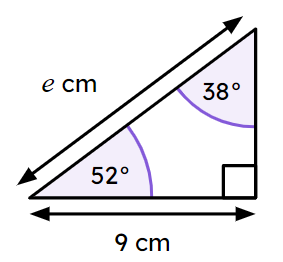 An image in a quiz