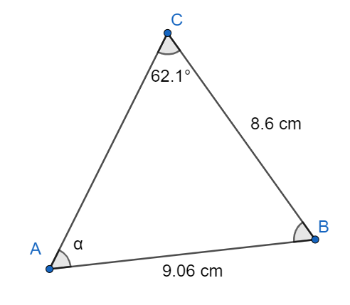 An image in a quiz