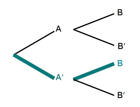 An image in a quiz