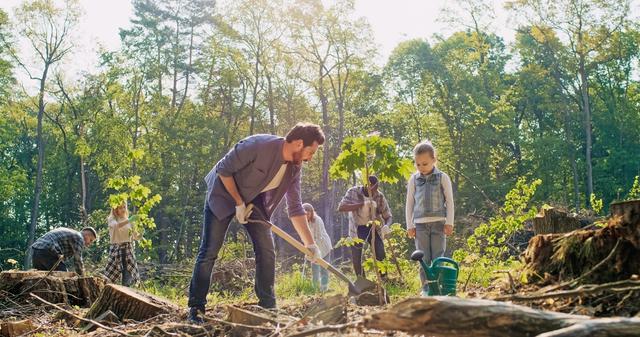 When forests are re-grown in areas that used to be populated by trees, this is called ...