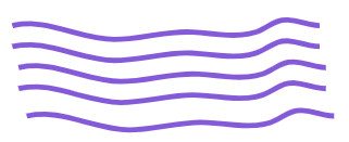 An image in a quiz