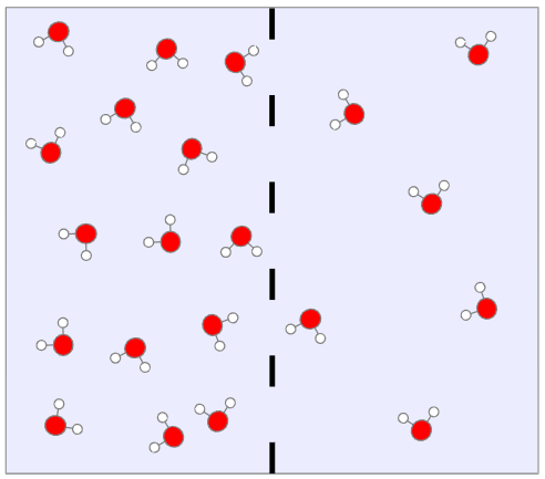 An image in a quiz