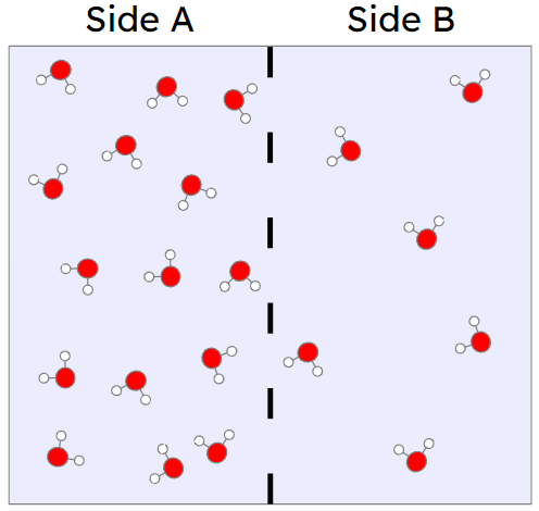 An image in a quiz