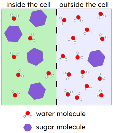 An image in a quiz