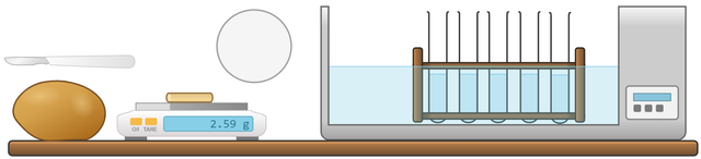 When investigating the effect of sugar solution concentration on potato chips, which piece of apparatus was used to control the temperature?