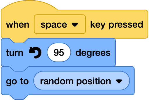 An image in a quiz