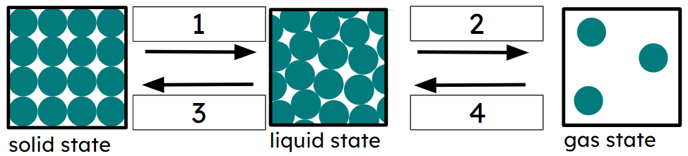 An image in a quiz
