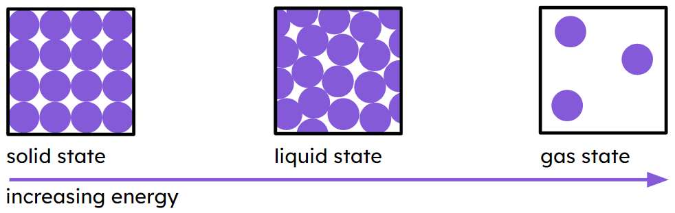 An image in a quiz
