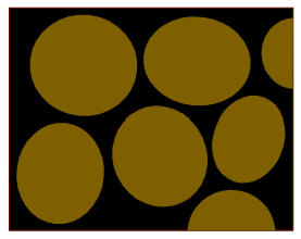 An image in a quiz