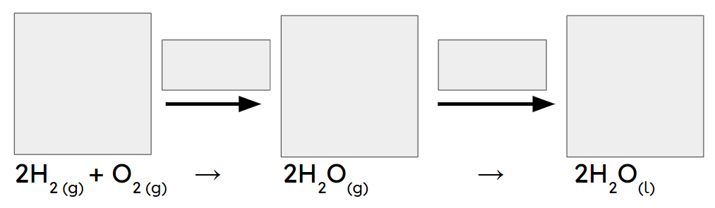 An image in a quiz