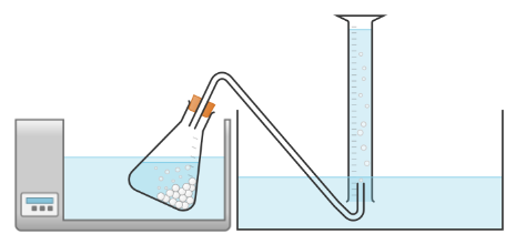 This apparatus is used to measure the rate of cellular respiration of immobilised yeast. Which gas will be collected in the measuring cylinder?